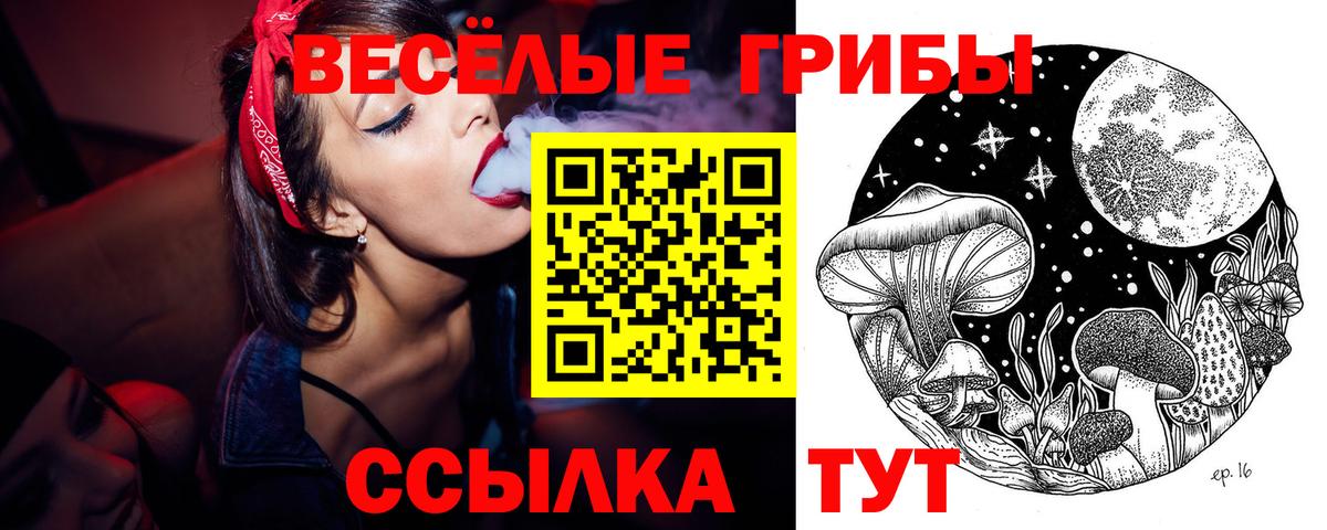 Галлюциногенные грибы Cubensis Миасс